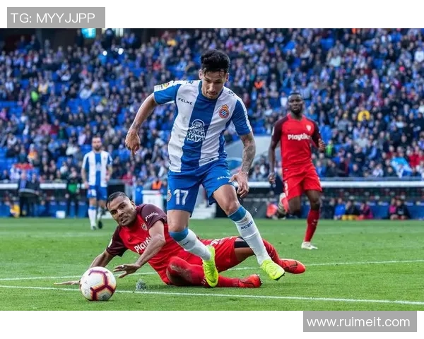 马来西亚足球明星身价揭秘及其对国内足球发展的影响分析